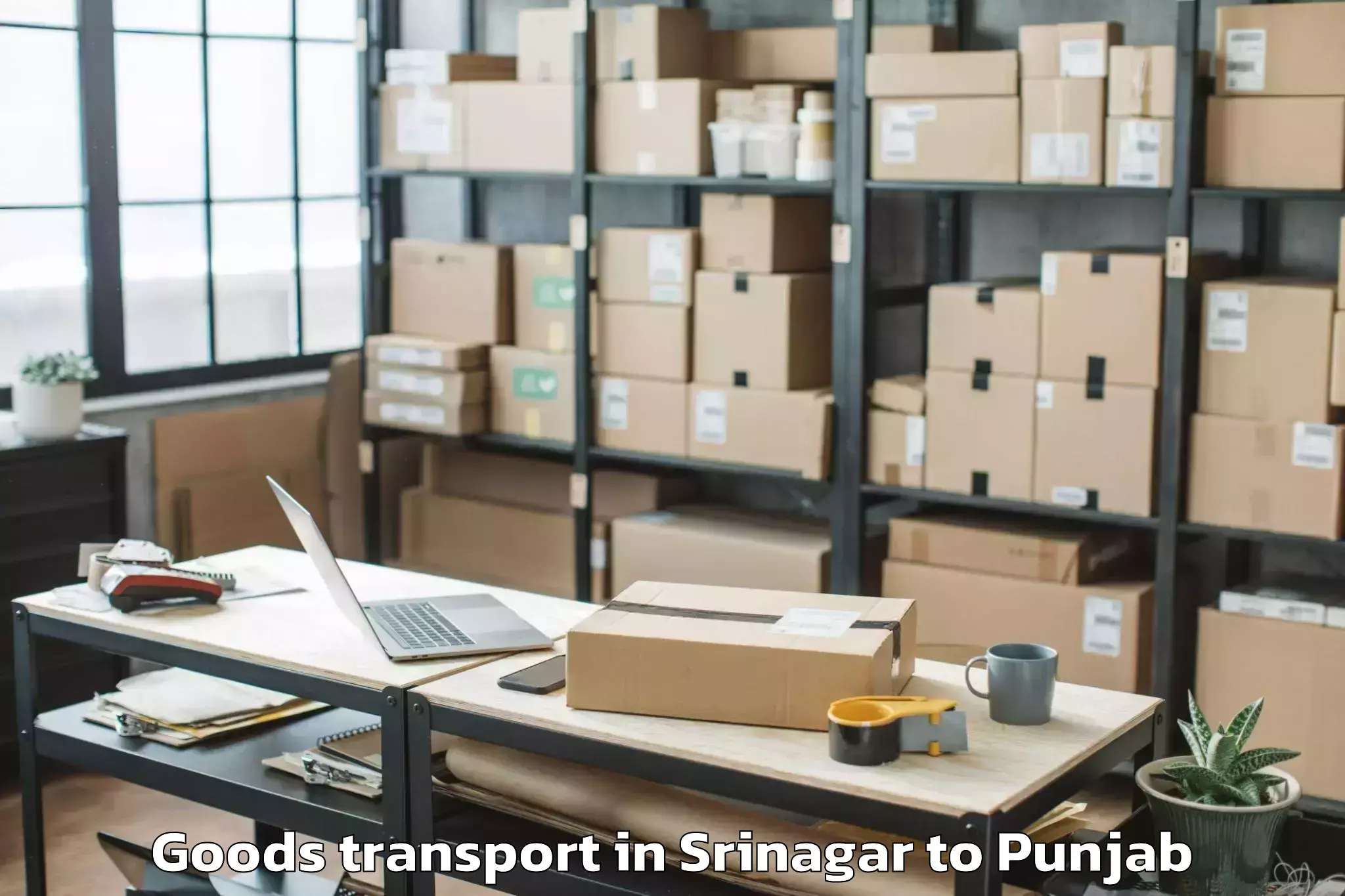 Expert Srinagar to Punjab Goods Transport